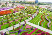 Чудо Сад в Дубай