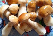 Маринованные белые грибы с корицей