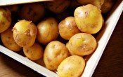 Самый дорогой картофель — La Bonnotte