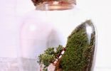 Фотографии красивых и интересных флорариумов и террариумов