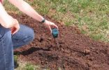 Кислотность почвы — как определить и раскислить