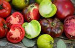 Лучшие сорта томатов для экстремальных условий — короткого лета или жары