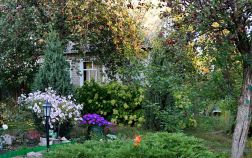В гостях на даче, или Как создать гармоничный сад на шести сотках?