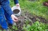 >Как поддержать здоровье почвы – секреты биоорганики