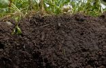 Почва — основа высокого урожая