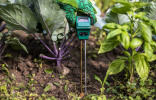 Как регулировать кислотность почвы и выращивать здоровые растения?