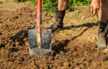 Как улучшить тяжелую глинистую почву?