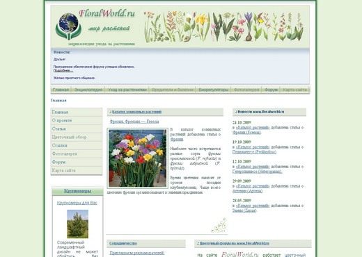 Скриншот сайта floralworld.ru
