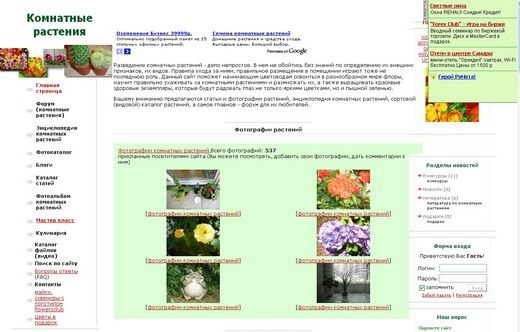 Скриншот сайта flowersclub.info