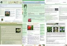 Сайты о комнатных растениях