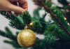 Как сохранить хвою и свежесть новогодней ёлки