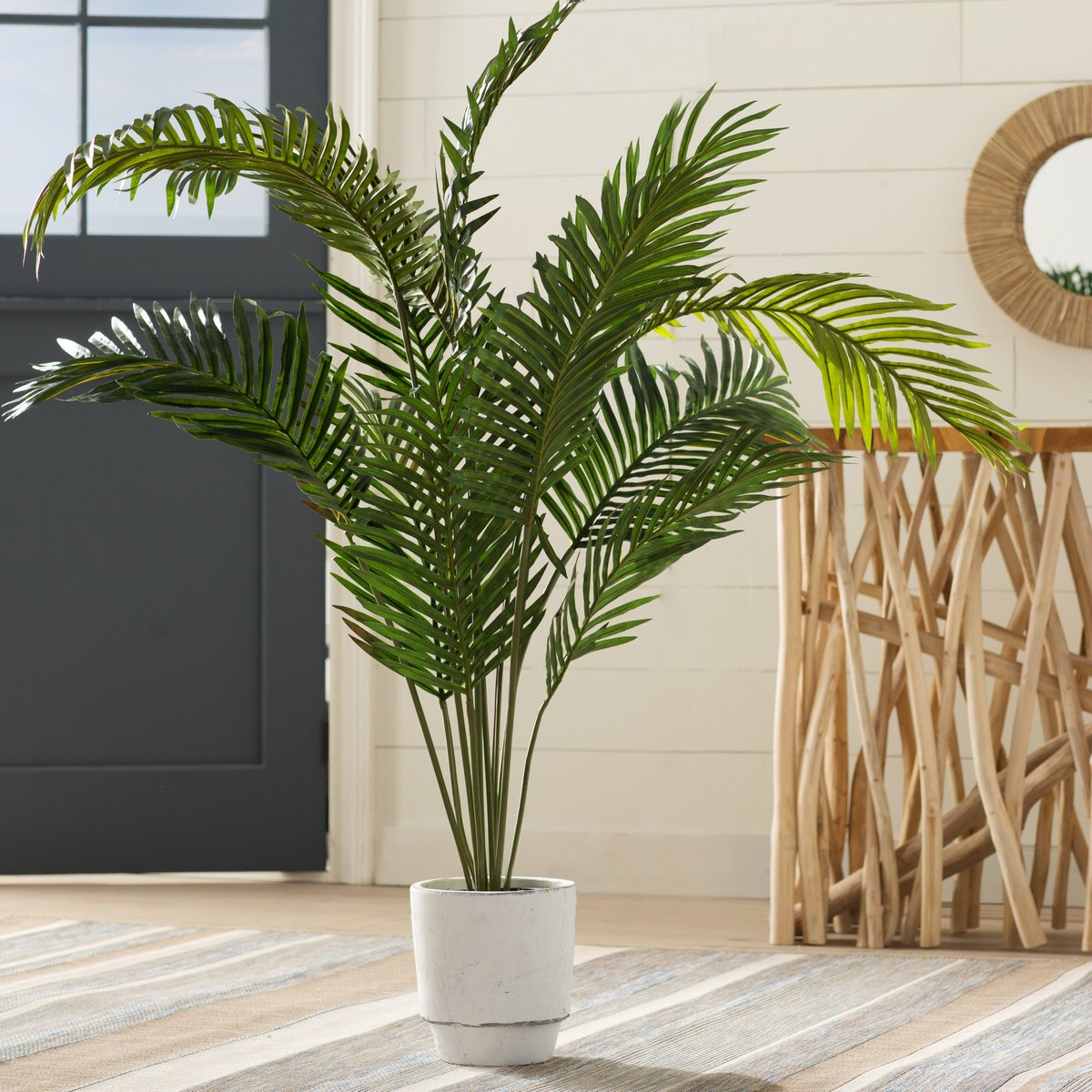 Финиковая пальма и уход за ней в домашних условиях