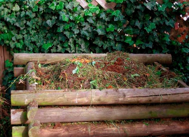 При производстве собственного садового компоста отпадает необходимость жечь отходы садовой обрезки, старые листья, бумагу, упаковку и картон