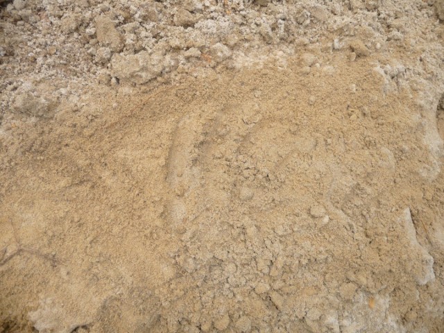 Супесчаная почва (Sandy loam)