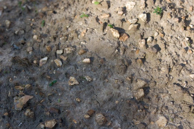 Почва (Soil)