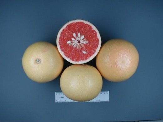 Грейпфрут Hudson (Hudson Grapefruit)