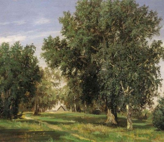 С. Н. Аммосов, Лесная поляна. 1869г.