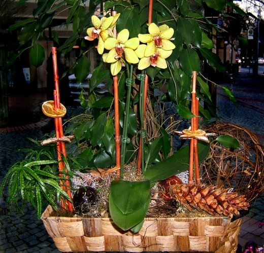 Цветочная композиция с орхидеями