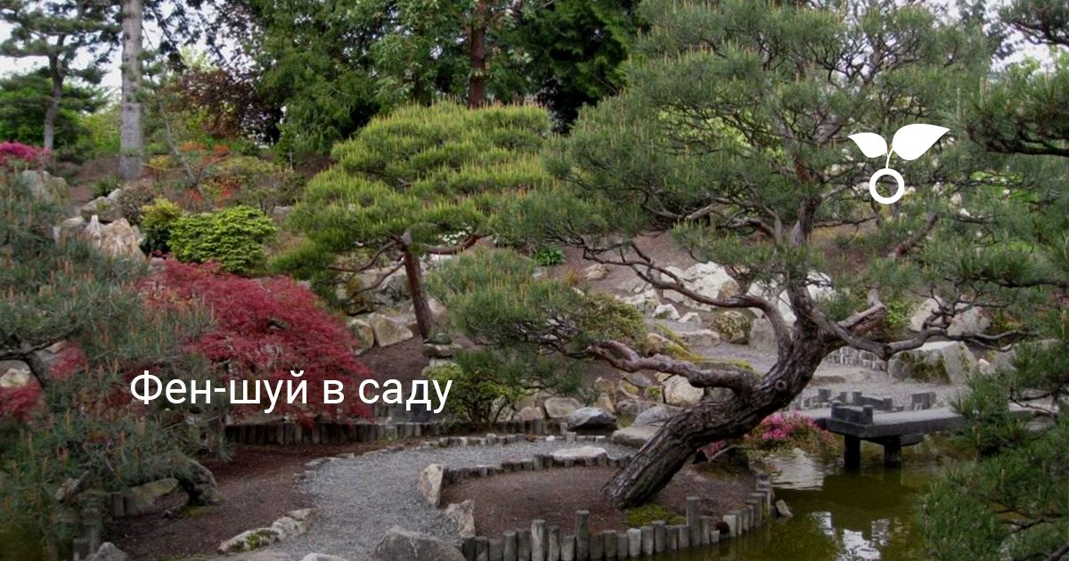 Фен-шуй в саду. Планирование участка. Фото — Ботаничка