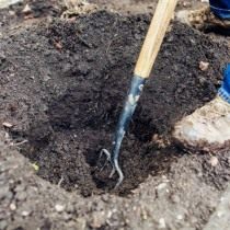 Выкапываем яму для посадки куста роз