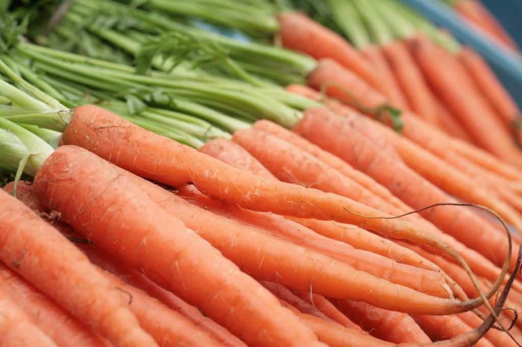 Как посеять морковь под зиму? Когда и как сажать морковку осенью? —Ботаничка