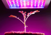 Панель светодиодная для выращивания растений