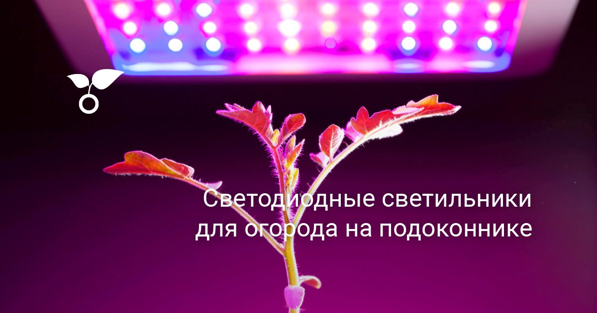 Светодиодные светильники для огорода на подоконнике. Светодиодное ...