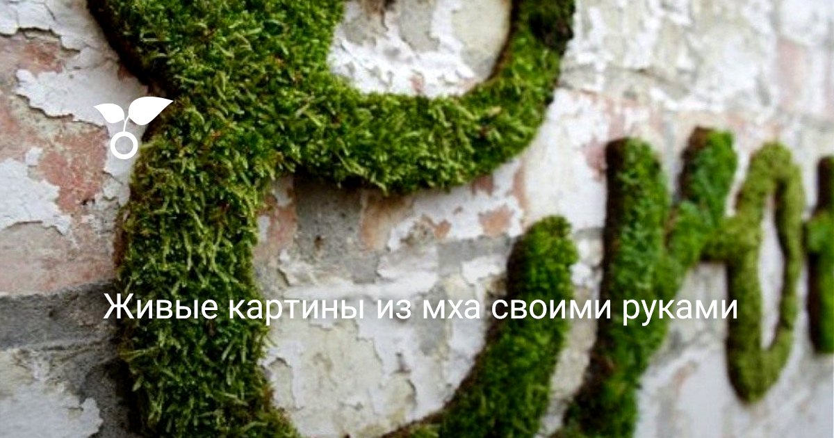 Живые картины от Wall of flowers