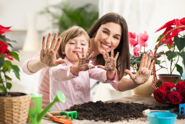 5 идеальных растений для ребёнка