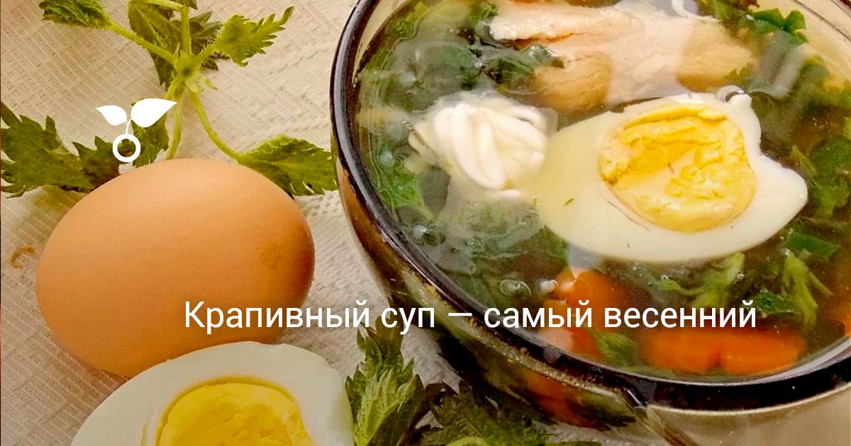 Крапивный суп рецепт с яйцом пошаговый рецепт с фото