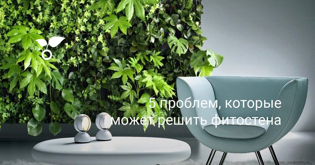 5 проблем, которые может решить фитостена. Для чего нужна фитостена ...