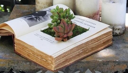 book-planter-1