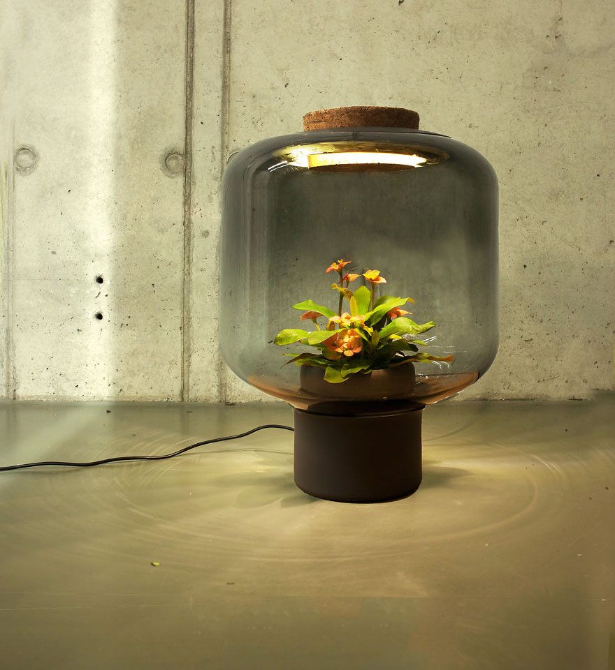 we-designed-these-lamps-to-grow-plants-in-windowless-spaces-3