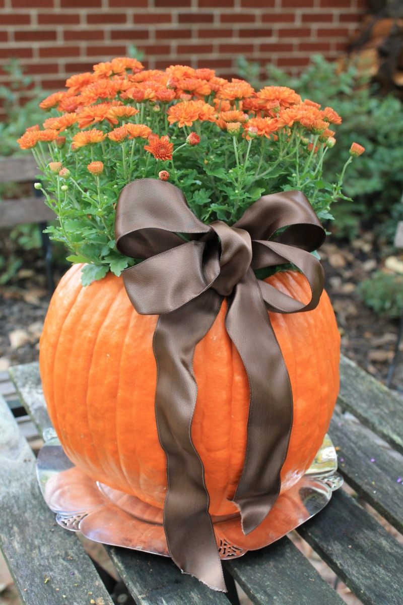 pumpkin-flower-pots-02