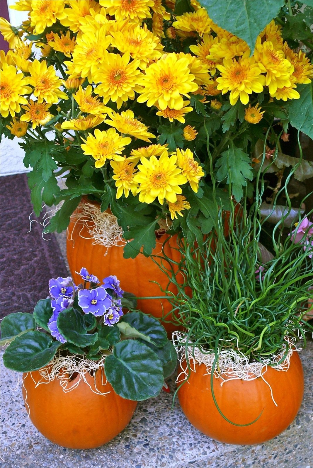 pumpkin-flower-pots-03