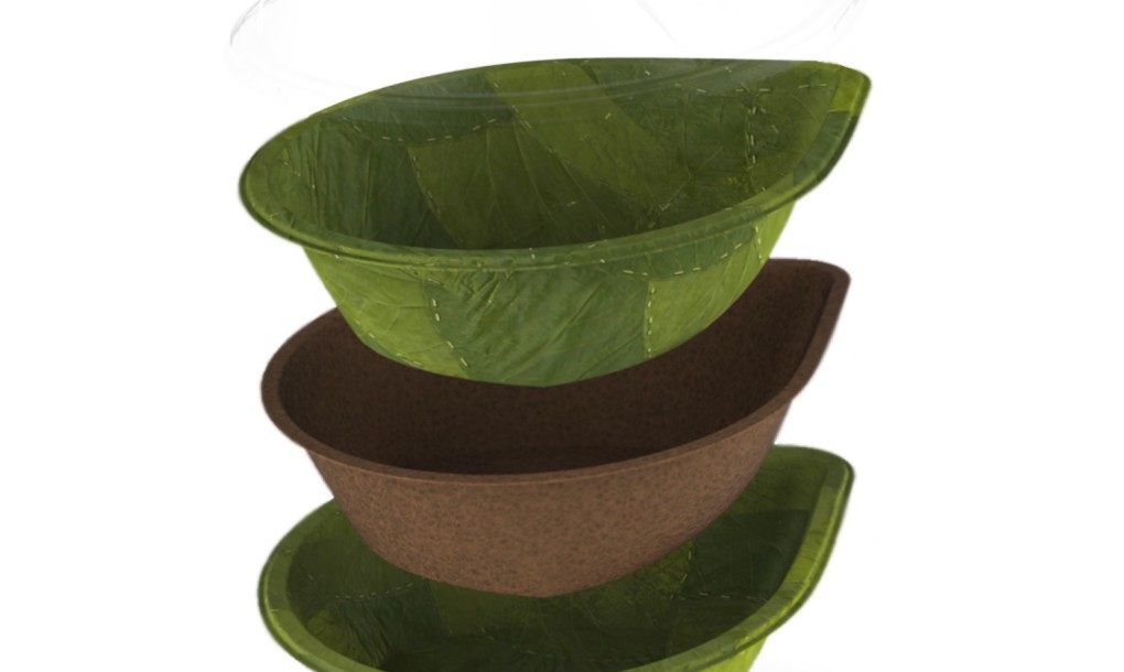 1leaf-bowls-by-Leaf-Republic-2-1020x610