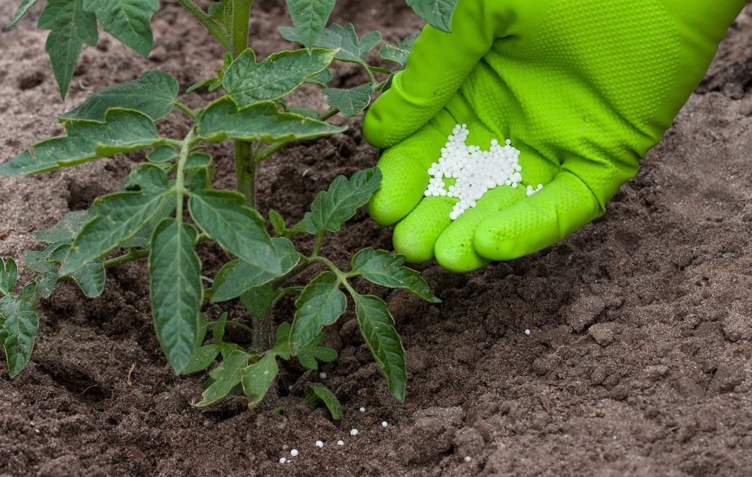 Правила подкормки почвы после сбора урожая: эффективные методы и рекомендации