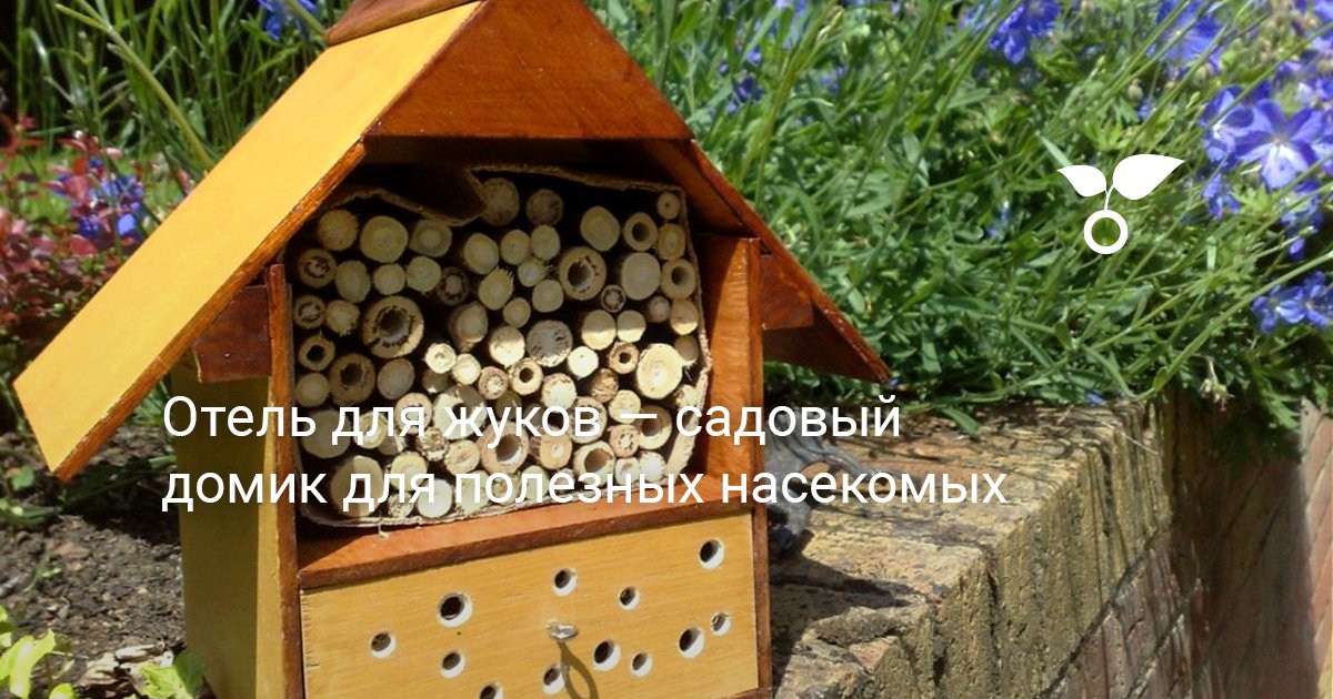 Домики для птиц своими руками из подручных материалов (38 фото)
