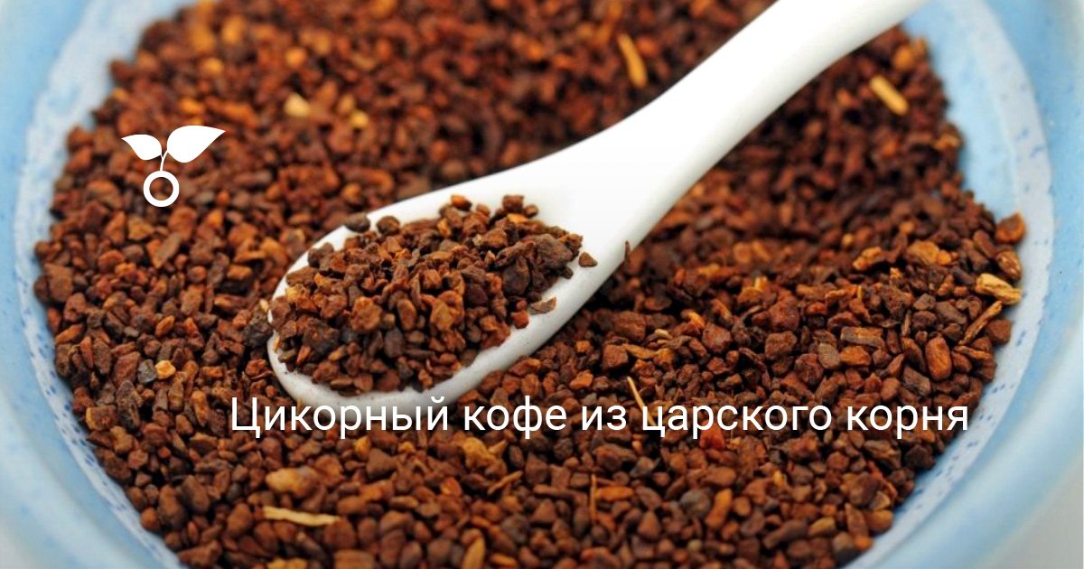 Цикорный кофе из царского корня. Полезные свойства цикория. Описание ...