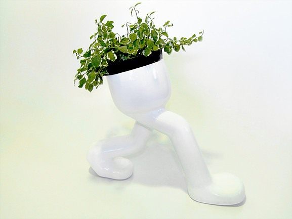 Flowerpot-Anderson-Horta