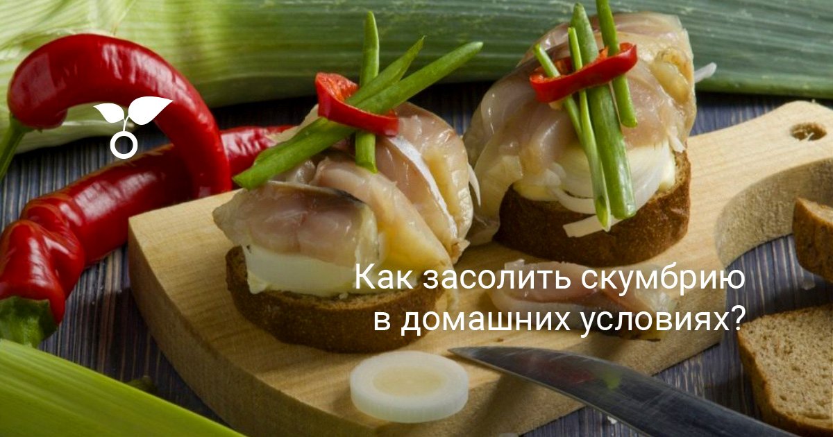 Очень вкусная малосольная скумбрия в домашних условиях