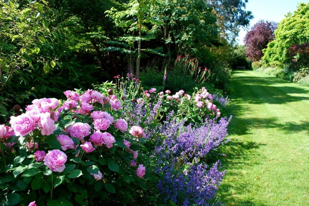 10 базовых элементов английского сада. Английский стиль в ландшафтном дизайне. Фото — Ботаничка