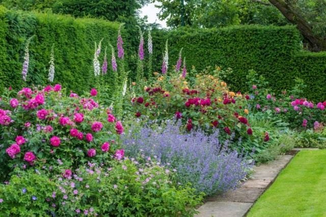 Цветник с розами в саду английского стиля