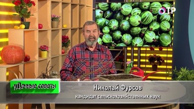 Николай Фурсов. Кандидат сельскохозяйственных наук