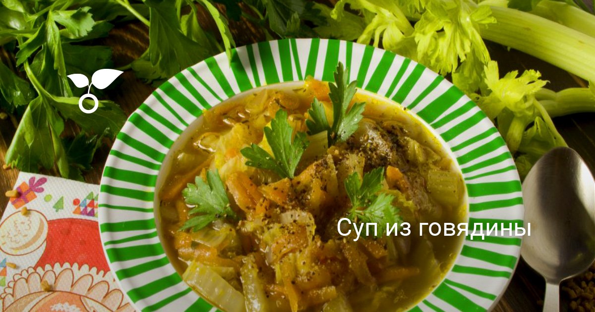 Суп из говядины. Пошаговый рецепт с фото — Ботаничка