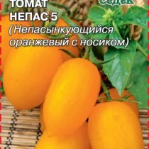Томат сорта «Непас 5» (Оранжевый с носиком)