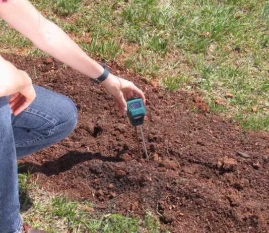 Определение кислотности почвы специальным прибором