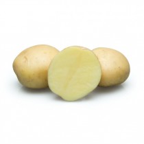 Сорт картофеля для Северо-Кавказского региона - ВР808