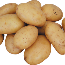 Сорт картофеля для Центрально-Черноземного региона - Винета
