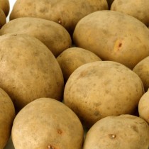 Сорт картофеля для Нижневолжского региона - Ярла